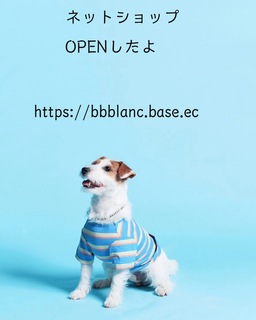 ネットから購入可能になりました