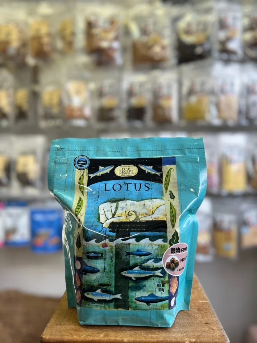 ロータス　フィッシュレシピ再入荷です。